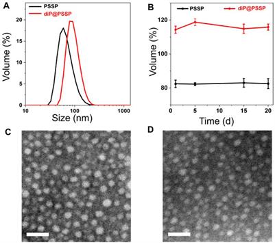 A Co-delivery System Based on a Dimeric Prodrug and Star-Shaped Polymeric Prodrug Micelles for Drug Delivery